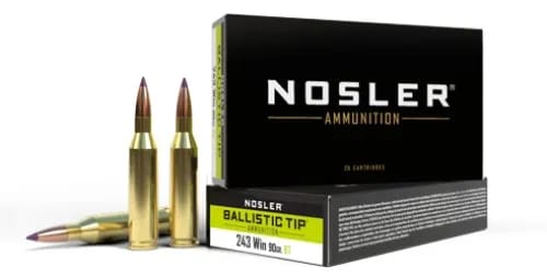 Nosler 243 Winchester 90gr Ballistic Tip (20 Ct.) — view 1