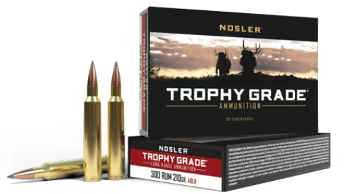 Nosler 300 Rum 210gr Ablr (20 Ct.) — view 1